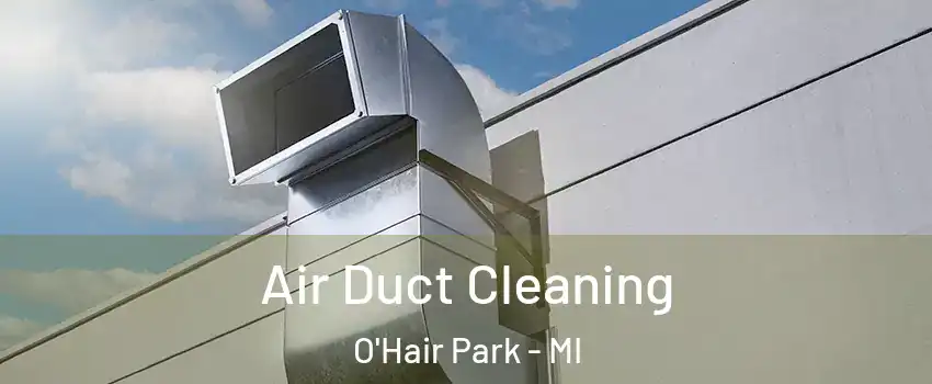 Air Duct Cleaning O'Hair Park - MI