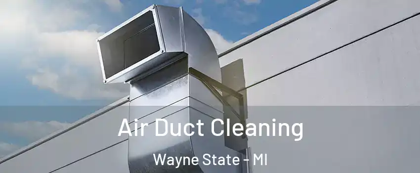 Air Duct Cleaning Wayne State - MI