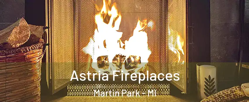 Astria Fireplaces Martin Park - MI