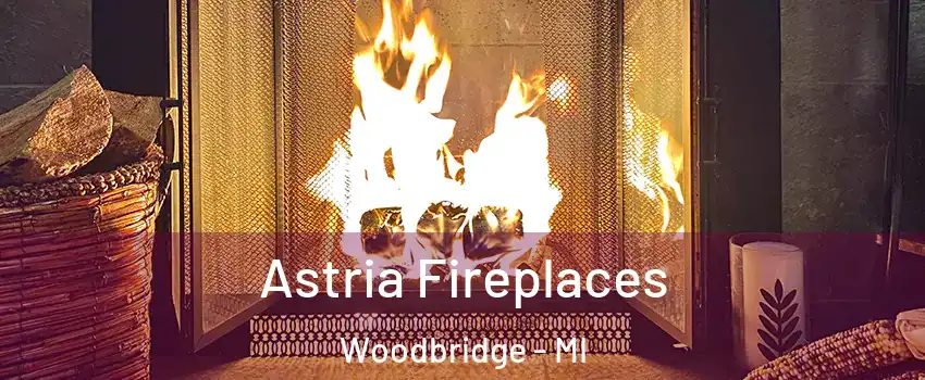 Astria Fireplaces Woodbridge - MI