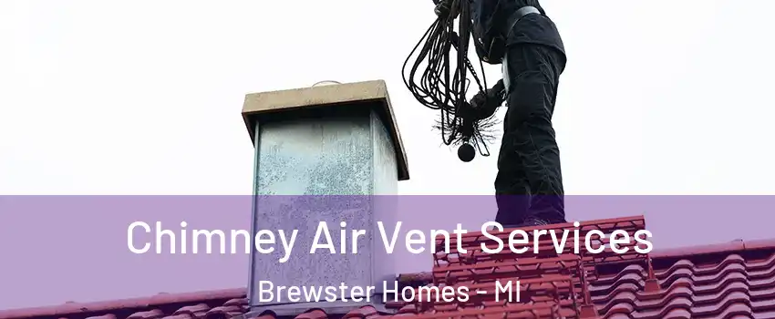 Chimney Air Vent Services Brewster Homes - MI