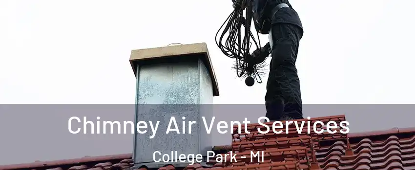 Chimney Air Vent Services College Park - MI