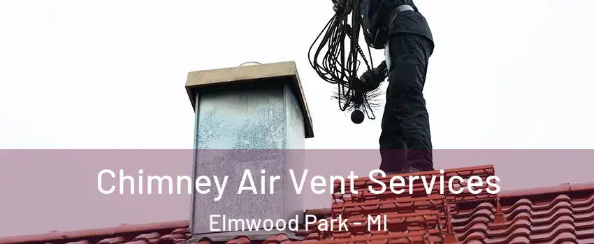 Chimney Air Vent Services Elmwood Park - MI