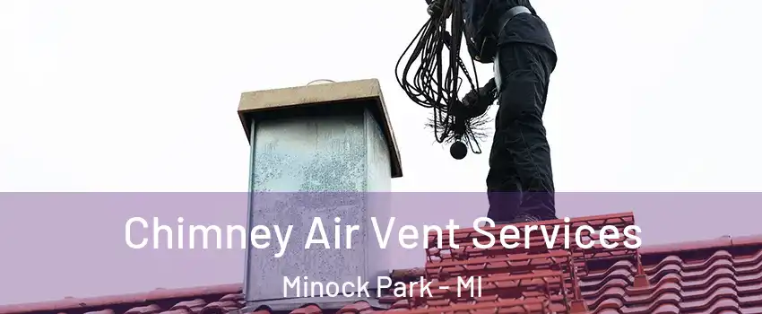 Chimney Air Vent Services Minock Park - MI