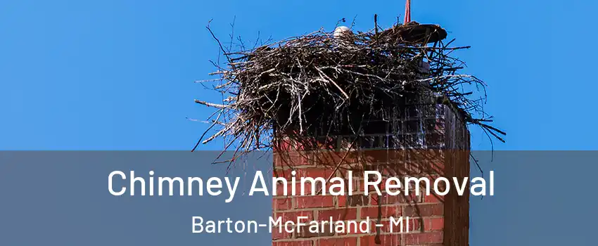 Chimney Animal Removal Barton-McFarland - MI