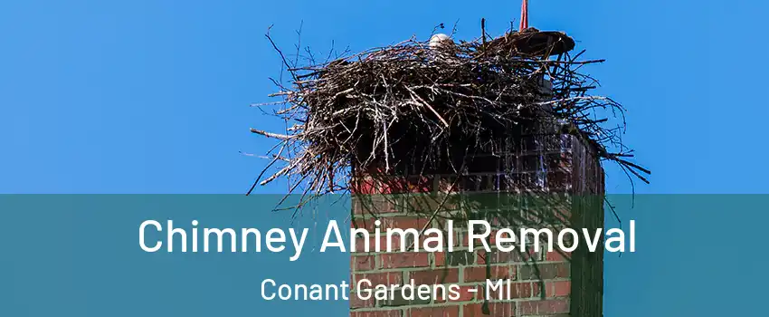 Chimney Animal Removal Conant Gardens - MI