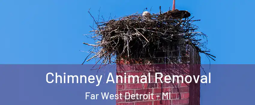 Chimney Animal Removal Far West Detroit - MI