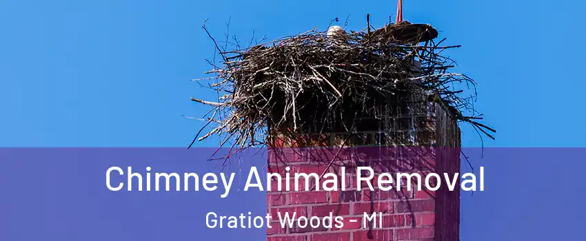 Chimney Animal Removal Gratiot Woods - MI