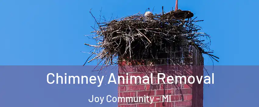 Chimney Animal Removal Joy Community - MI