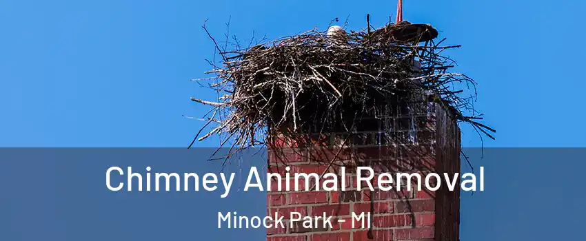 Chimney Animal Removal Minock Park - MI