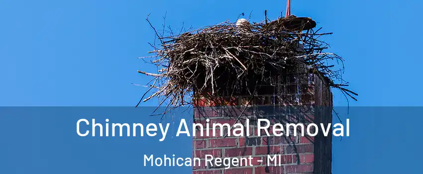 Chimney Animal Removal Mohican Regent - MI