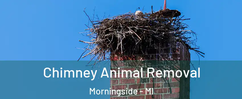 Chimney Animal Removal Morningside - MI