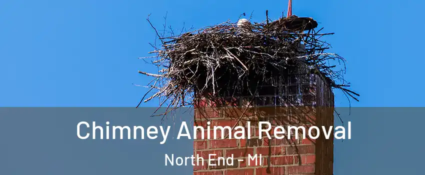 Chimney Animal Removal North End - MI