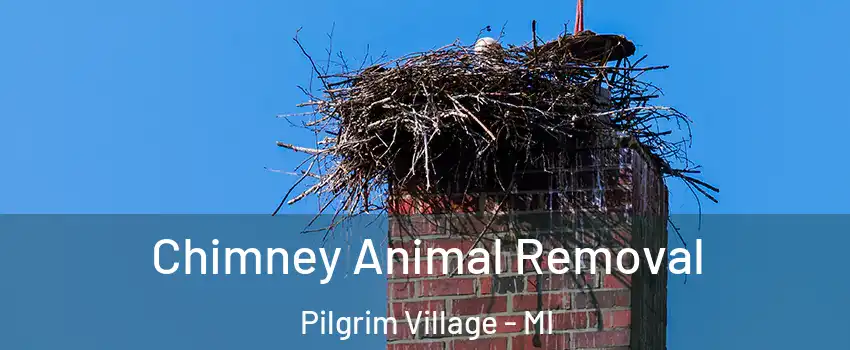 Chimney Animal Removal Pilgrim Village - MI