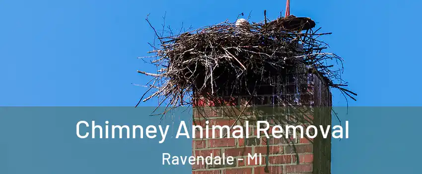 Chimney Animal Removal Ravendale - MI