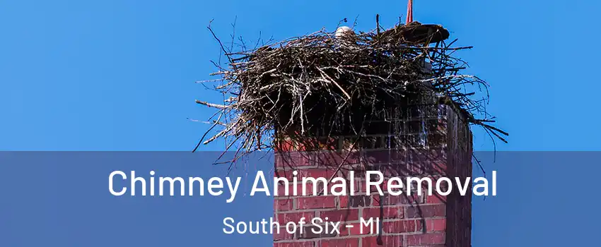 Chimney Animal Removal South of Six - MI