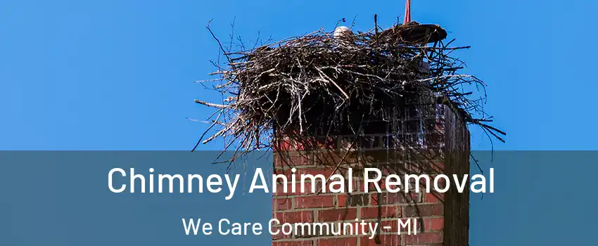 Chimney Animal Removal We Care Community - MI