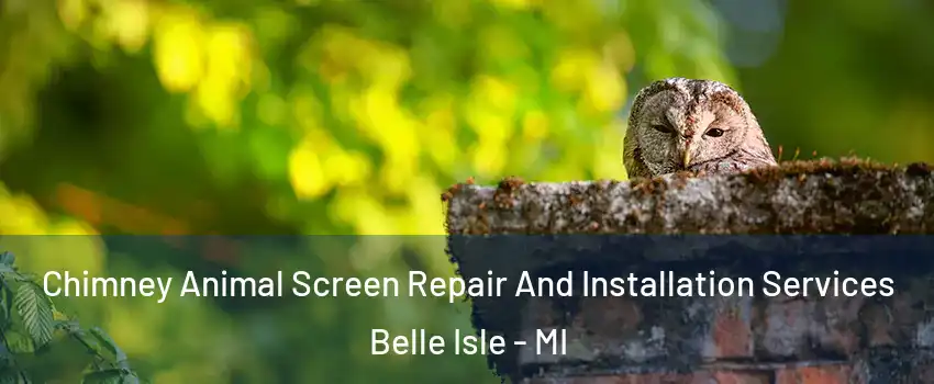 Chimney Animal Screen Repair And Installation Services Belle Isle - MI