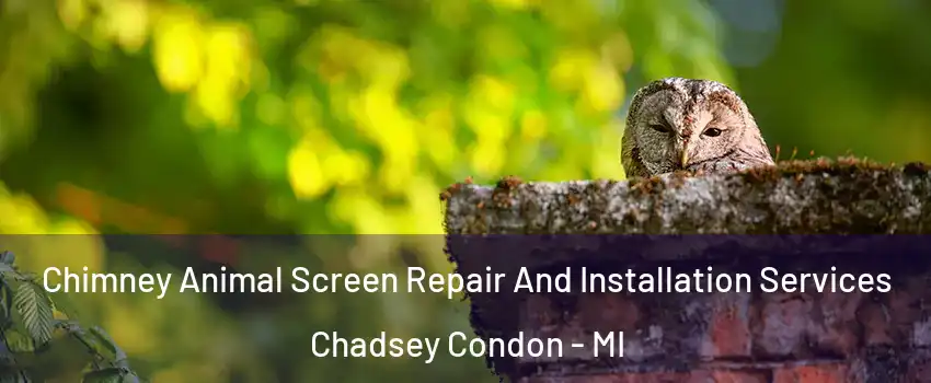 Chimney Animal Screen Repair And Installation Services Chadsey Condon - MI