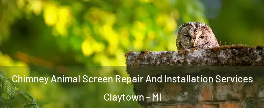 Chimney Animal Screen Repair And Installation Services Claytown - MI
