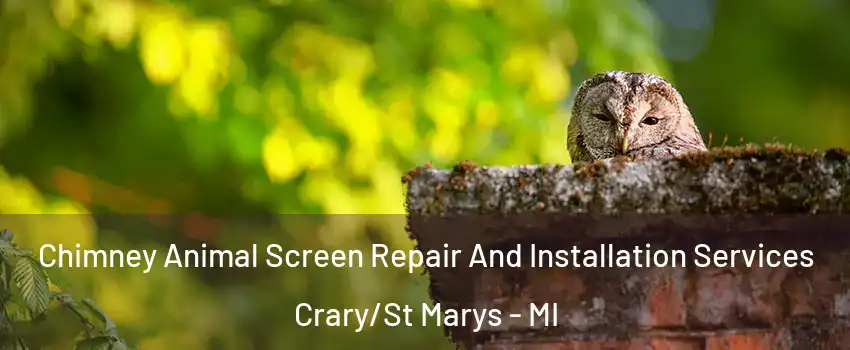 Chimney Animal Screen Repair And Installation Services Crary/St Marys - MI