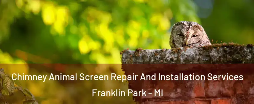 Chimney Animal Screen Repair And Installation Services Franklin Park - MI