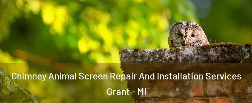 Chimney Animal Screen Repair And Installation Services Grant - MI