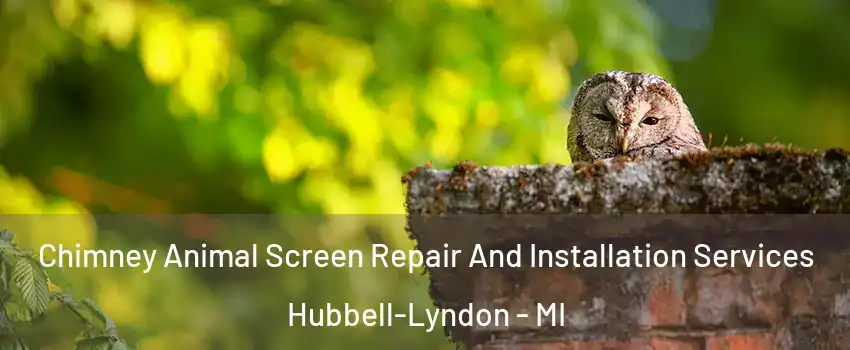 Chimney Animal Screen Repair And Installation Services Hubbell-Lyndon - MI