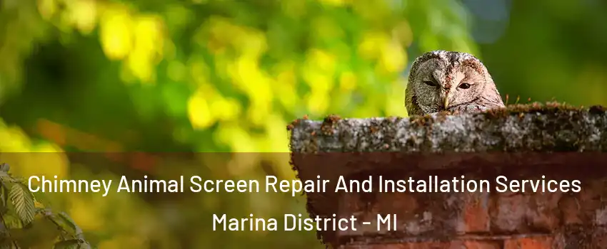 Chimney Animal Screen Repair And Installation Services Marina District - MI