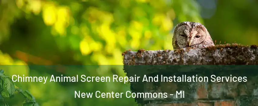 Chimney Animal Screen Repair And Installation Services New Center Commons - MI
