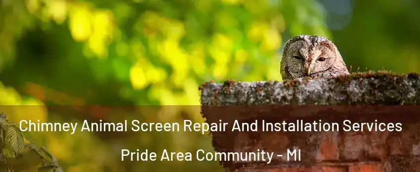 Chimney Animal Screen Repair And Installation Services Pride Area Community - MI
