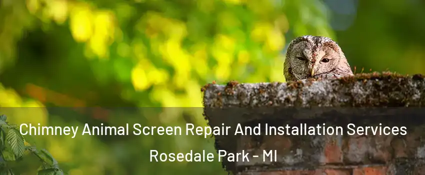 Chimney Animal Screen Repair And Installation Services Rosedale Park - MI