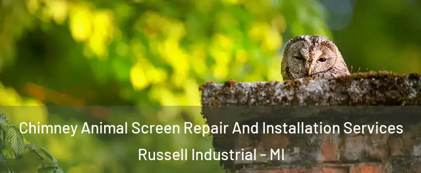 Chimney Animal Screen Repair And Installation Services Russell Industrial - MI