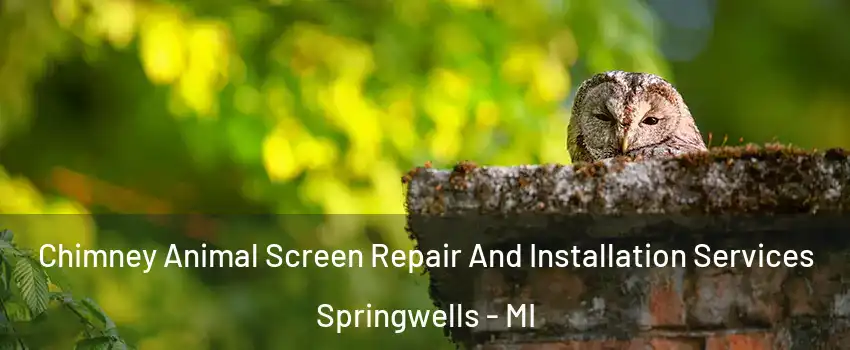 Chimney Animal Screen Repair And Installation Services Springwells - MI