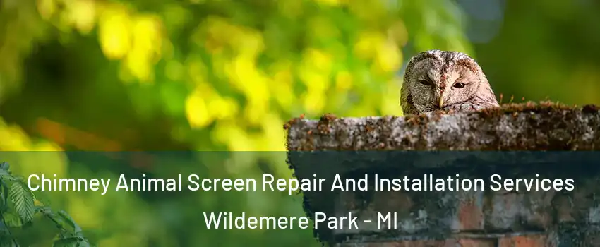 Chimney Animal Screen Repair And Installation Services Wildemere Park - MI