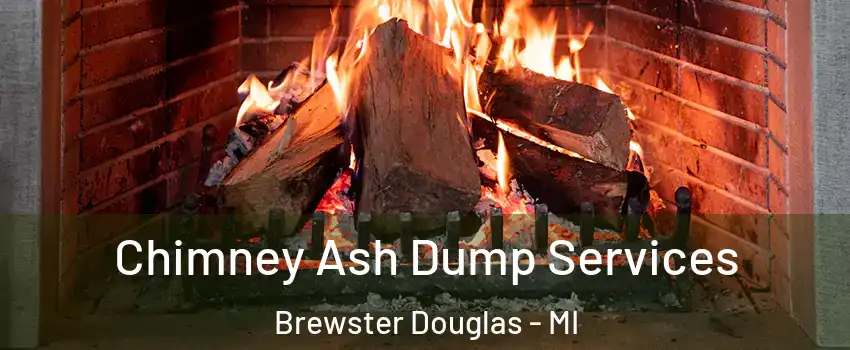 Chimney Ash Dump Services Brewster Douglas - MI