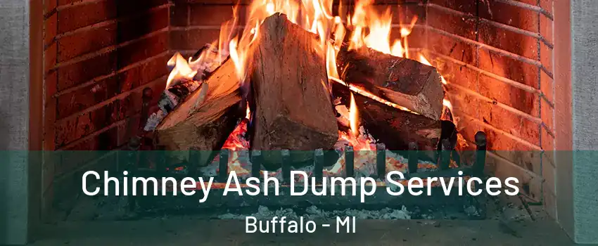 Chimney Ash Dump Services Buffalo - MI