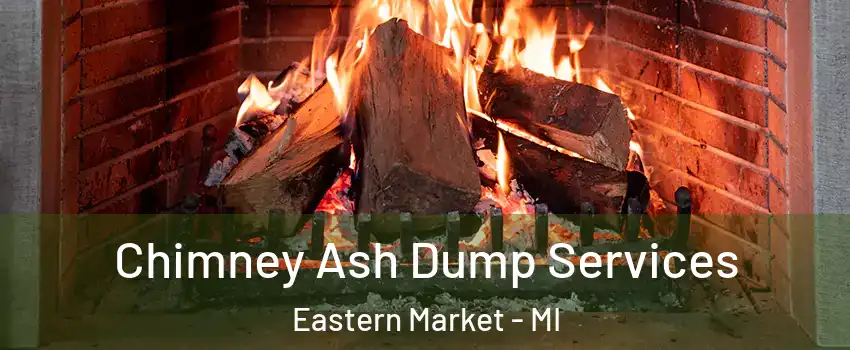 Chimney Ash Dump Services Eastern Market - MI