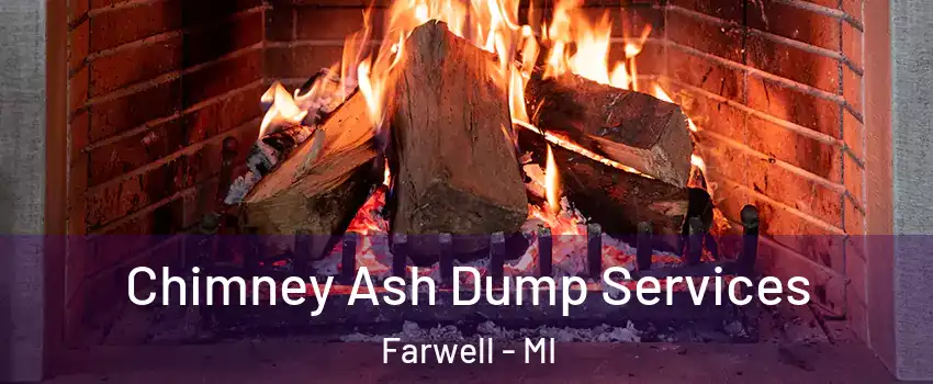 Chimney Ash Dump Services Farwell - MI