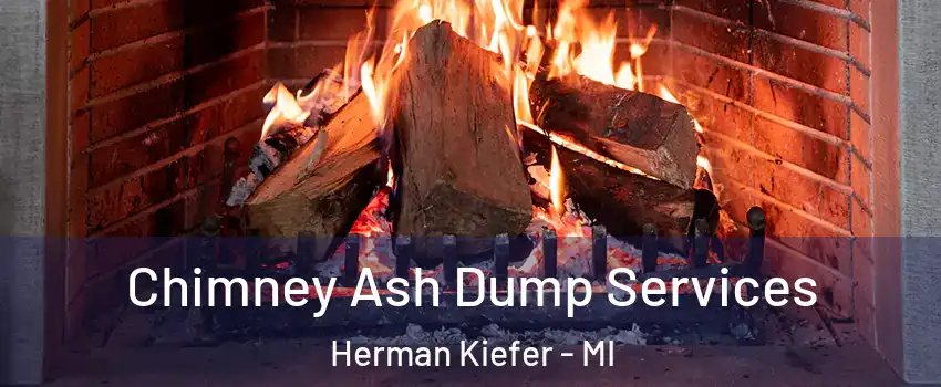 Chimney Ash Dump Services Herman Kiefer - MI
