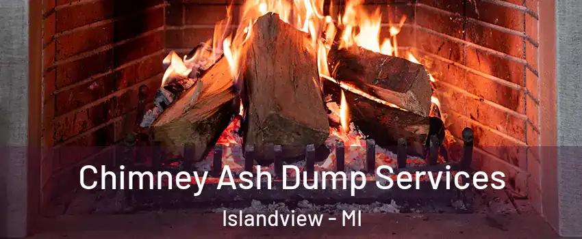 Chimney Ash Dump Services Islandview - MI