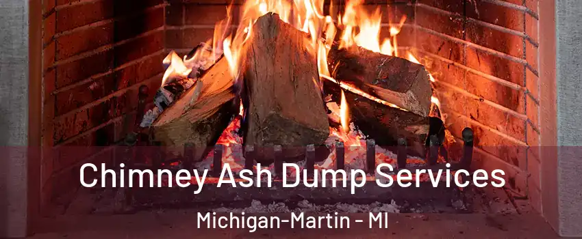 Chimney Ash Dump Services Michigan-Martin - MI