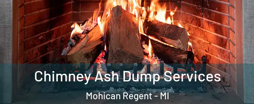 Chimney Ash Dump Services Mohican Regent - MI