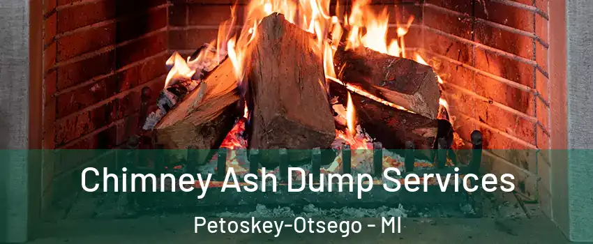 Chimney Ash Dump Services Petoskey-Otsego - MI