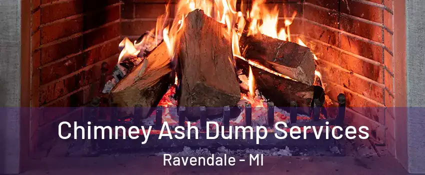Chimney Ash Dump Services Ravendale - MI