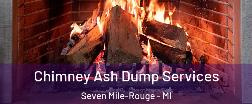 Chimney Ash Dump Services Seven Mile-Rouge - MI
