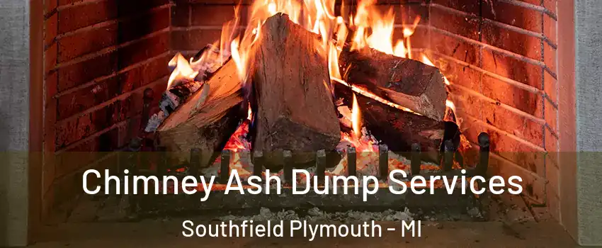 Chimney Ash Dump Services Southfield Plymouth - MI