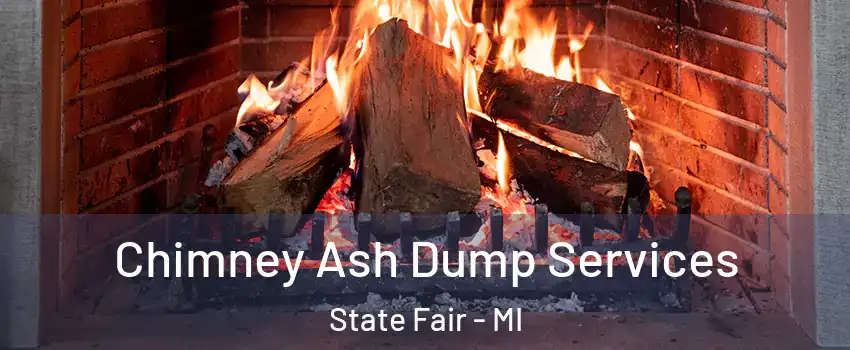 Chimney Ash Dump Services State Fair - MI