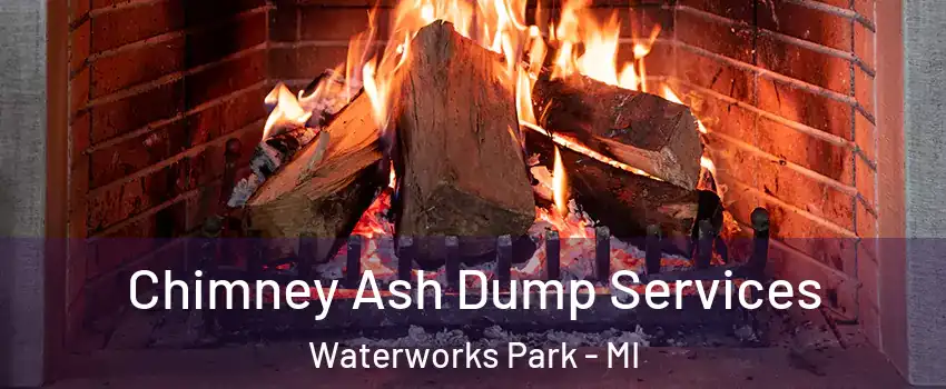 Chimney Ash Dump Services Waterworks Park - MI