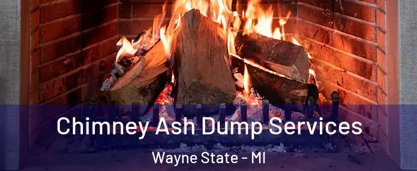 Chimney Ash Dump Services Wayne State - MI